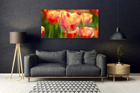 Obraz plexi Tulipány kvety rastlina 120x60 cm