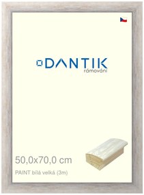 DANTIK rám na obraz 50x70 | PAINT bílá velká (Plexi Čiré)