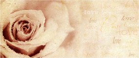 Obraz - Kvet ruže pre zaľúbených (120x50 cm)