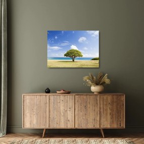 Sklenený obraz pláže so stromom (70x50 cm)