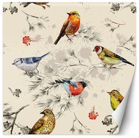 Fototapeta, Barevní ptáci malovaní akvarelem - 100x100 cm