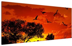 Obraz vtákov pri západe slnka (120x50 cm)