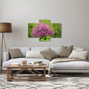 Obraz rozkvitnutého stromu na lúke (90x60 cm)
