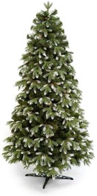Borovica kanadská 3D- 210cm