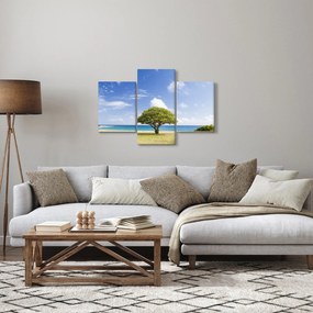 Obraz pláže so stromom (90x60 cm)