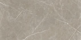 Dlažba Eternal Taupe Natural 60x120 R