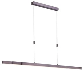 Paul Neuhaus 2568-24 - LED Stmievateľný luster na lanku ADRIANA LED/14W/230V