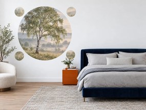 Breza v ranej hmle fotografické textilné nálepky na stenu do spálne arch 46 x 46 cm