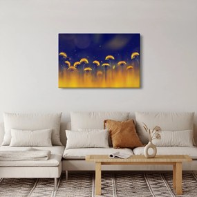 Obraz - Púpavy (90x60 cm)