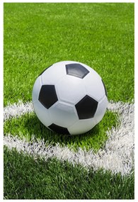 DETSKÁ FLEECOVÁ DEKA FOOTBALL 100X150 CM VZOROVANÁ