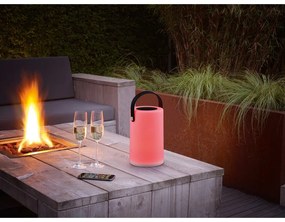 LED solárne vonkajšie svietidlo (výška 21 cm) Garcia – Trio