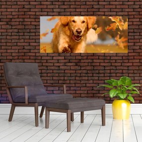 Obraz - Zlatý retriever (120x50 cm)