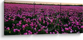 Obraz - Lúka fialových tulipánov (s hodinami) (90x30 cm)