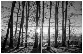 Obraz na plátne - Jesenné ráno v lese 1251QE (120x80 cm)