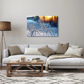 Obraz - Zimná lúka (90x60 cm)