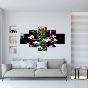 Obraz kvetu (125x70 cm), 40 ďalších rozmerov