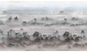 VLADILA Foggy Landscape Pastels - tapeta