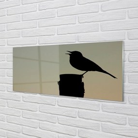 Obraz na akrylátovom skle Drozd 120x60 cm