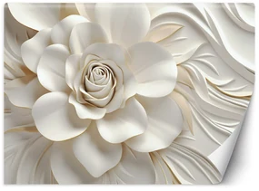 Gario Fototapeta Krásna biela ruža Materiál: Vliesová, Rozmery: 350 x 245 cm