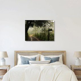 Sklenený obraz rannej hmly (70x50 cm)