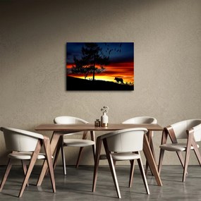 Obraz - Silueta vlka (70x50 cm)