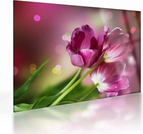 Sklenený obraz ružových tulipánov (70x50 cm)