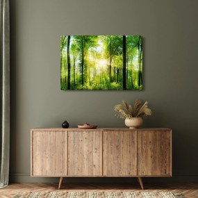 Obraz - Svitanie v lese (90x60 cm)