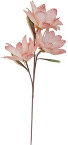 XXXLutz UMELÝ KVET magnólia 90 cm Ambia Home - Kvetinové dekorácie - 0033240191