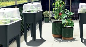 Kvetináč na pestovanie rajčín HOME GROWERO antracit