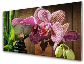 Obraz na skle Kvetiny bambus rastlina 125x50 cm