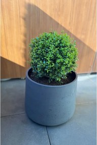 Kvetináč TROPICO, sklolaminát, výška 29 cm, antracit