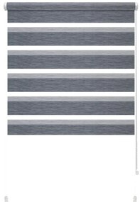 Antracitová roleta deň a noc 42,5x150 cm Zebra Silvalin – Gardinia
