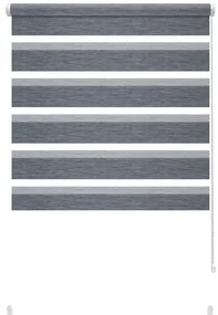 Antracitová roleta deň a noc 42,5x150 cm Zebra Silvalin – Gardinia