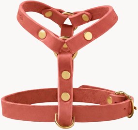 Kožený postroj pre psa Y-Harness, rôzne veľkosti