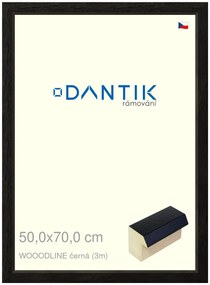 DANTIK rám na obraz 50x70 | WOODLINE černá (Plexi Čiré)