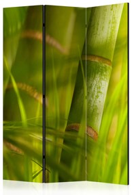 Artgeist Paraván - bamboo - nature zen [Room Dividers]