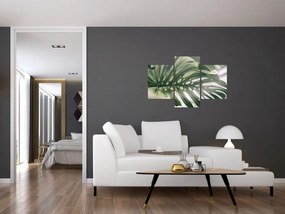 Obraz - List monštier (90x60 cm)