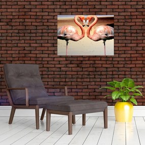 Obraz - dva plameniaky (70x50 cm)