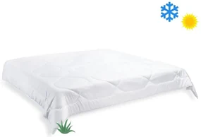 Brotex Prikrývka Aloe Vera celoročná 220x200cm 1320g