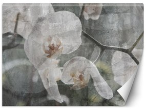 Fototapeta, Květy orchidejí - retro - 254x184 cm