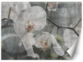 Fototapeta, Květy orchidejí - retro - 100x70 cm