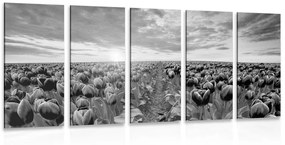 5-dielny obraz východ slnka nad lúkou s tulipánmi v čiernobielom prevedení