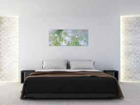 Obraz - Jemné kvety (120x50 cm)