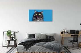 Obraz na plátne Oblizujący mačka 140x70 cm