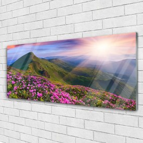 Obraz plexi Hory lúka kvety príroda 125x50 cm