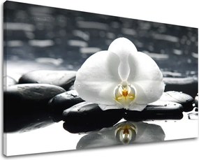 Obraz na stenu FENG SHUI FS018E11