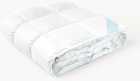 Paplón z čistého páperia Premium, ľahký