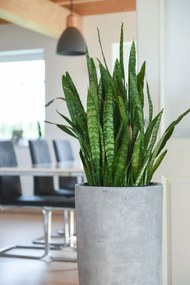 Kvetináč CITY, sklolaminát, výška 80 cm, betón design, sivý