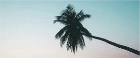 Obraz - Palma na Bali (120x50 cm)
