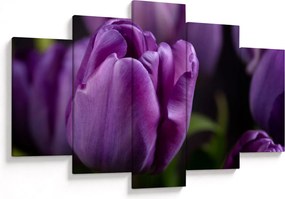 Obraz kvetov tulipánov (150x105 cm)